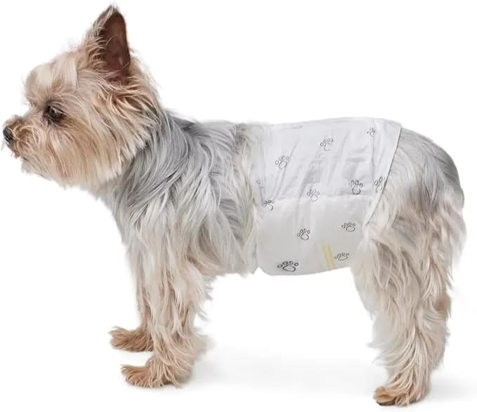 Amazon Basics Pañales para Perro Macho