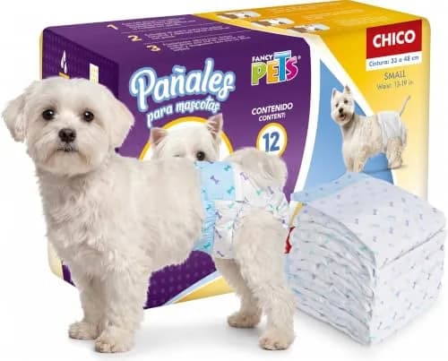 Dry Pet PAÑALES CH P/PERRO - 12 PZ
