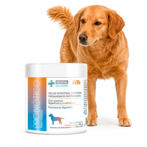 Fancy Pets MS Probiótico para Perros 90g