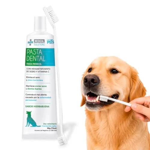 Medical Solutions Kit Dental Antisarro
